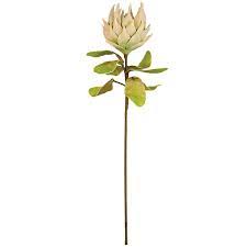 Blushing Botanical Floral