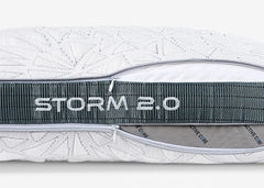 BED-Storm 2.0