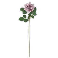 25" Inch Purple Duchess Rose Stem