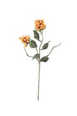 Orange Bulbs Floral Accessories