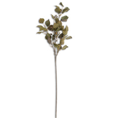38" Dark Green Cork Textured Siver Dollar Eucalyptus Stem