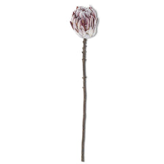 26" Flocked Purple King Protea Stem