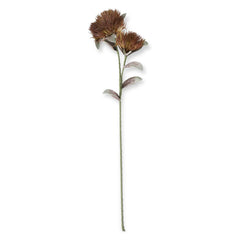 39" Green & Burgundy Eva Double Spike Bloom Stem
