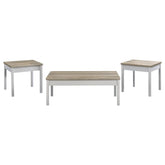 Stacie - 3 Piece Coffee Table Set - Distressed Pine