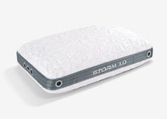 BED-Storm 1.0