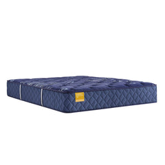 Forsyth Park - Medium Tight Top Mattress