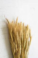 Bundle of Natural Wheat