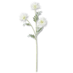 26" 3 Head White Spikey Cactus Dahlia Stem