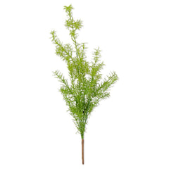 27" Asparagus Fern Bush