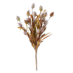 24" Yellow & Green Sleepy Silene Eva Bush