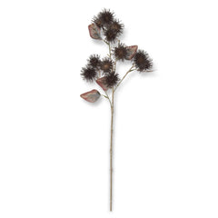 25" Dark Brown Thistle Stem
