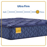 Forsyth Park - Ultra Firm Tight Top Mattress
