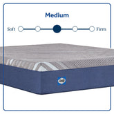 Carrington Chase - Medium Mattress