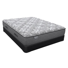 Hotel - Sealy Hotel SP1 Firm/Ultra Firm Mattress