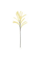 Pampas Stem Floral Accessories