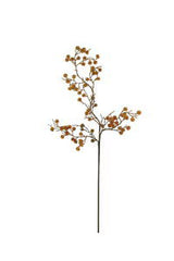 Dried Brown Poms Floral Accessories