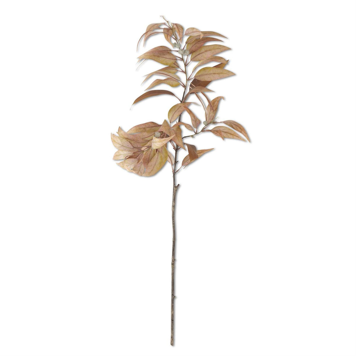 48" Light Yellow Eucalyptus Branch w/Pods