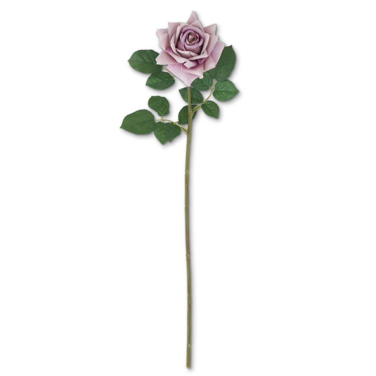25" Inch Purple Duchess Rose Stem