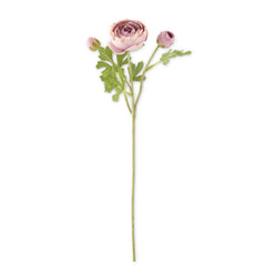 21" Light Purple 3 Head Ranunculus Stem