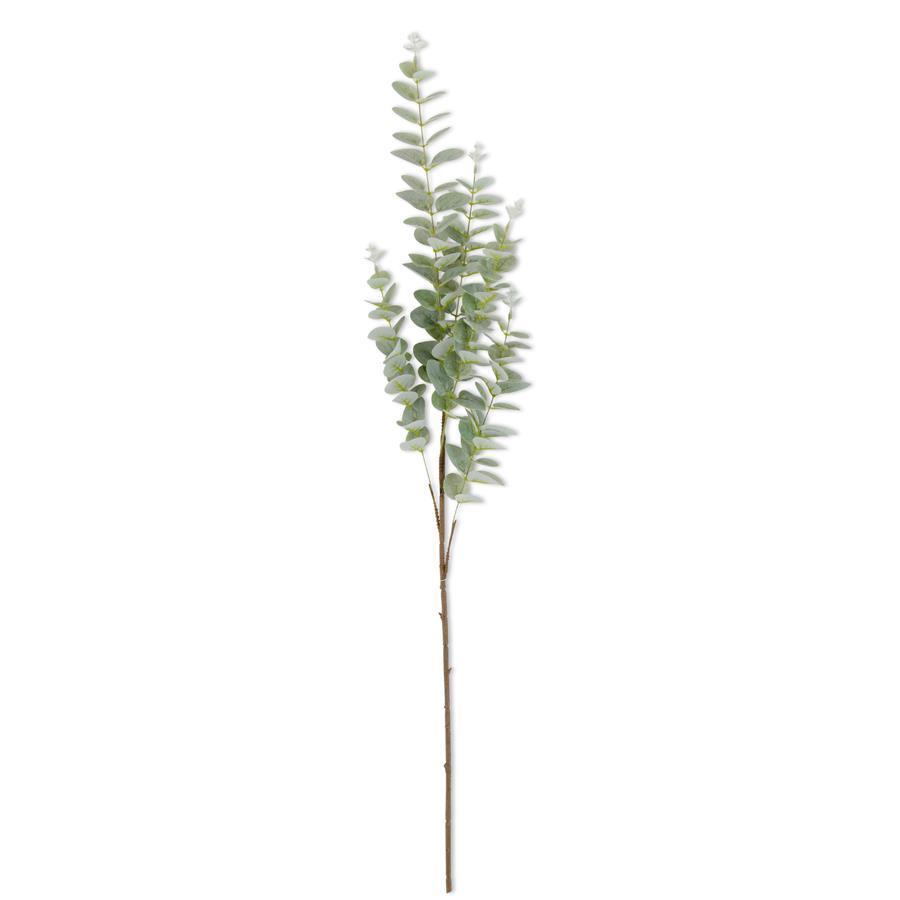 38" Light Green Gunnii Eucalyptus stem