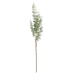 38" Light Green Gunnii Eucalyptus stem