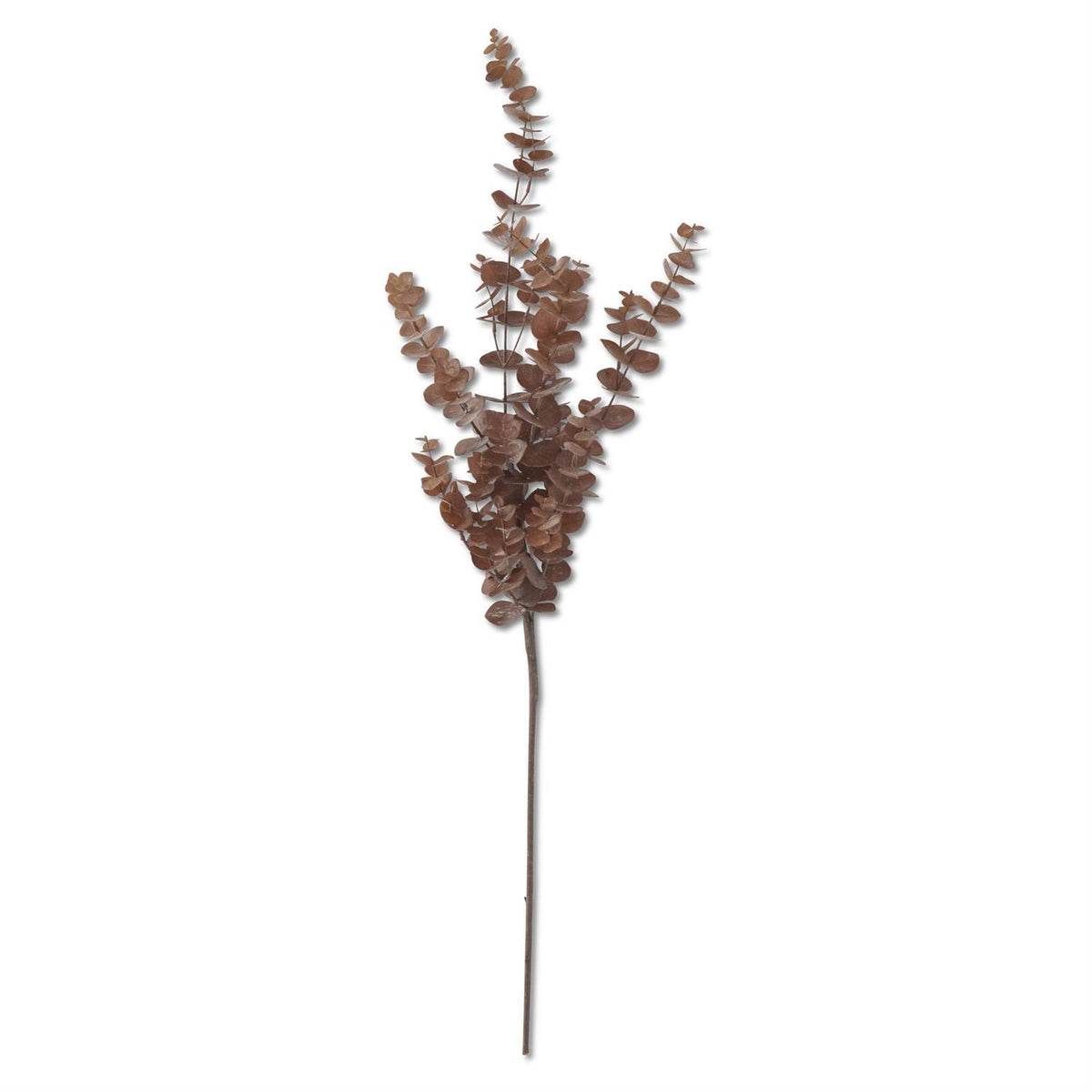 36" Brown Eucalyptus Stem