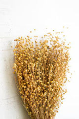 Bundle of Natural Lino Stems