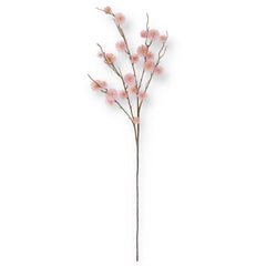 35" Pink Sycamore Fruit Ball Stem