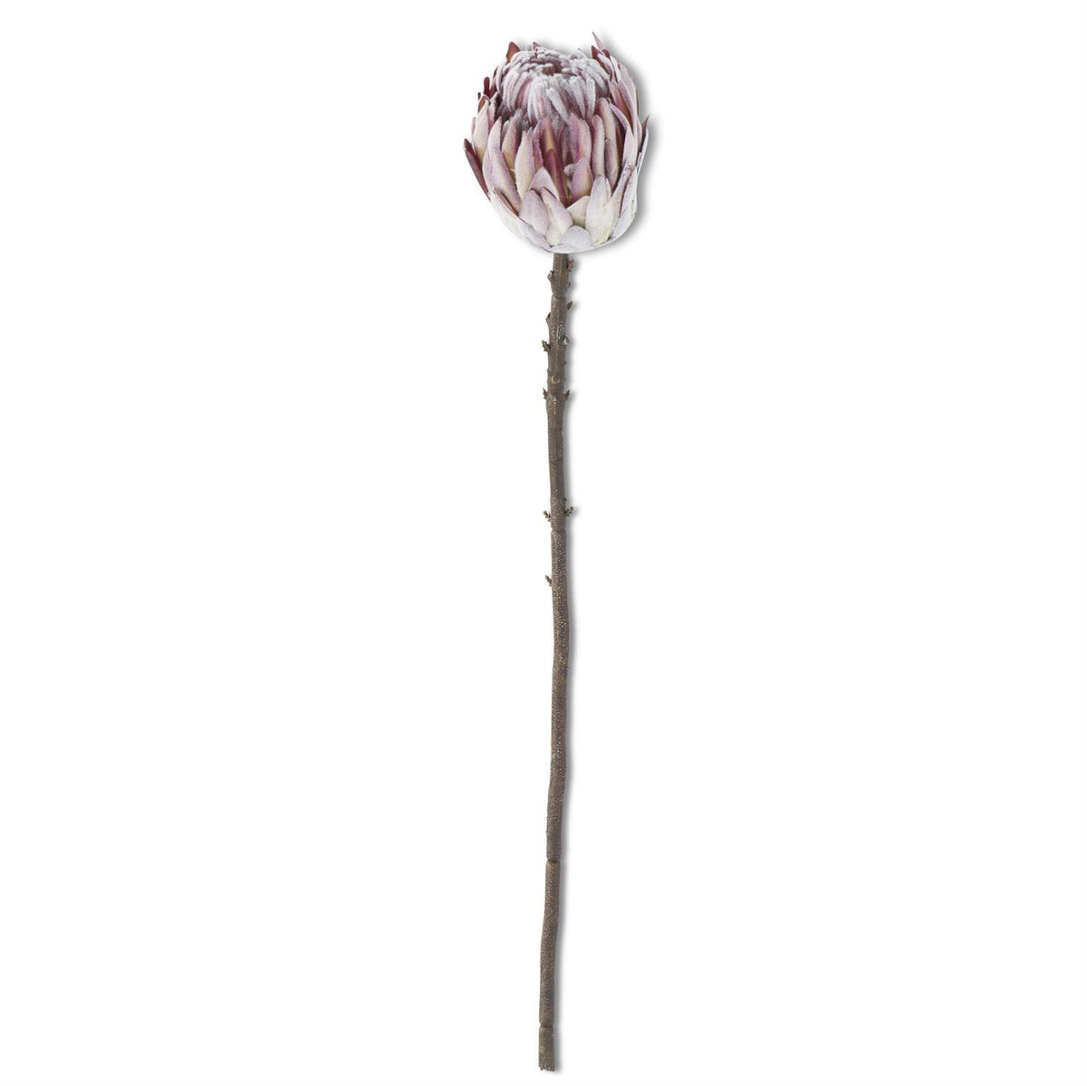 26" Flocked Purple King Protea Stem