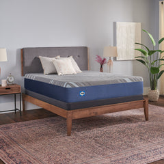 Royal Cove - Medium Hybrid Mattress