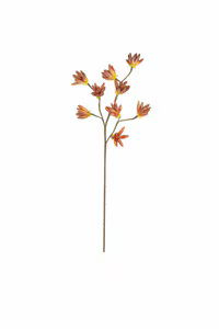 Starburst Floral Stems