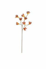 Starburst Floral Stems