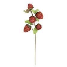 Maroon Bulbs Floral Accessories