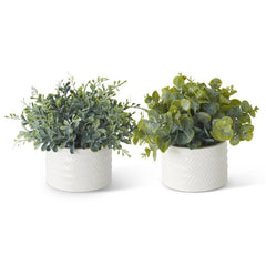7.25" Assorted Eucalyptus in White Ceramic Vase