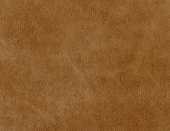 Olivo - Arm Chair - Caramel Color