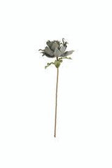 Grey Floral