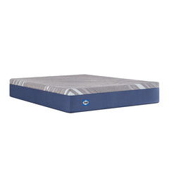 Carrington Chase - Medium Mattress