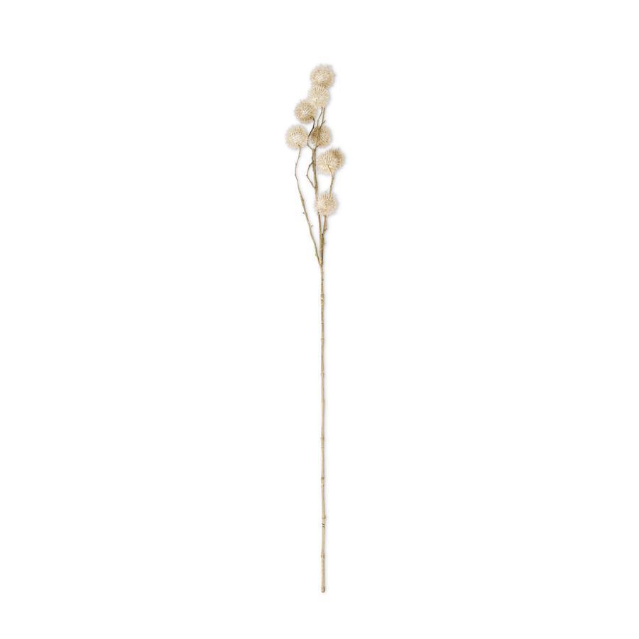 32" Sycamore Fruit Ball Stem