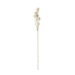 32" Sycamore Fruit Ball Stem