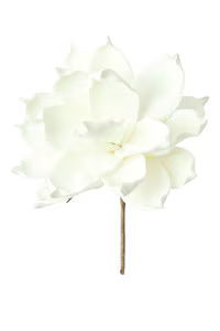 Botanica #36 Floral Accessories