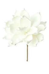 Botanica #36 Floral Accessories