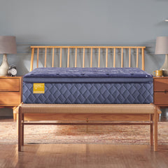 Forsyth Park - Soft Euro Pillow Top Mattress