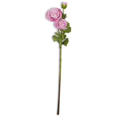 25" Pink Ranunculus Stem