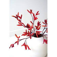 Textured Scarlet Stem Floral Accessories