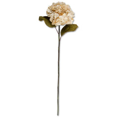 30" Cream Hydrangea Two Leaf Stem