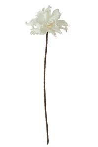 White Floral