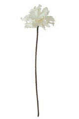 White Floral