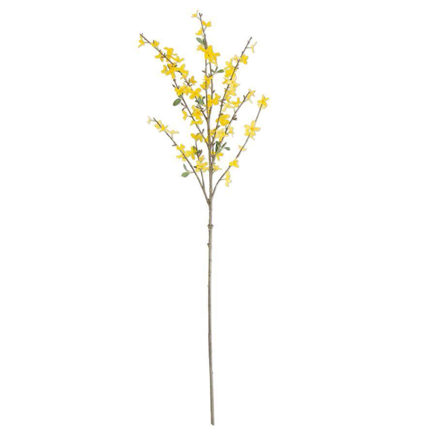 44" Yellow Forsythia Stem