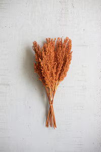 Natural Corn Grass Bundle