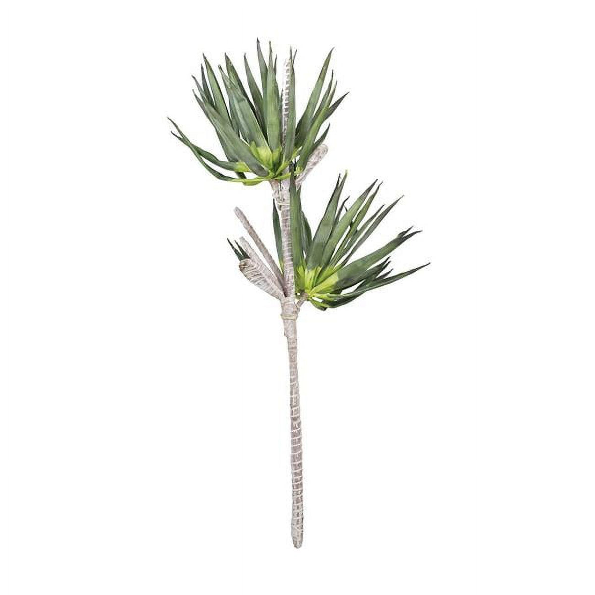 LG Western Palm Floral Stem
